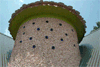 Tower exterior